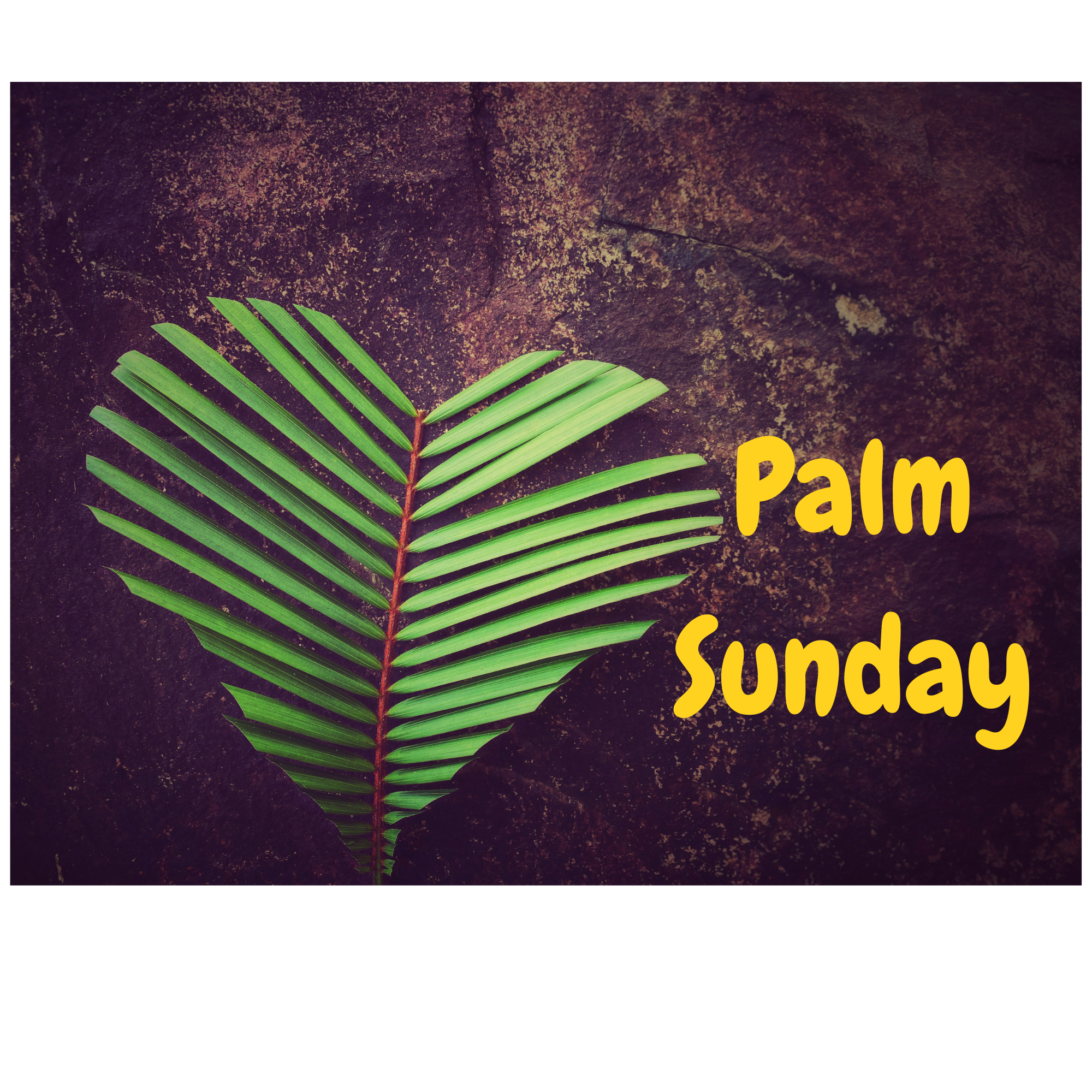 Palm Sunday